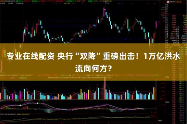 专业在线配资 央行“双降”重磅出击！1万亿洪水流向何方？