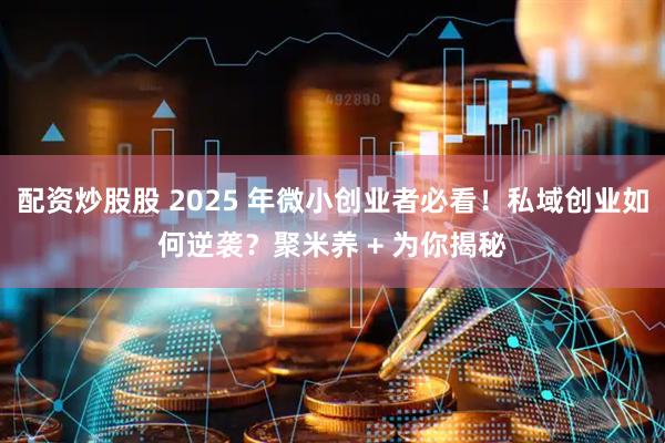配资炒股股 2025 年微小创业者必看！私域创业如何逆袭？聚米养 + 为你揭秘