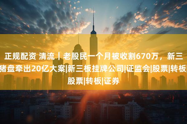 正规配资 清流｜老股民一个月被收割670万，新三板杀猪盘牵出20亿大案|新三板挂牌公司|证监会|股票|转板|证券