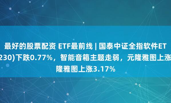 最好的股票配资 ETF最前线 | 国泰中证全指软件ETF(515230)下跌0.77%，智能音箱主题走弱，元隆雅图上涨3.17%
