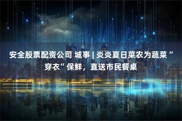 安全股票配资公司 城事 | 炎炎夏日菜农为蔬菜“穿衣”保鲜，直送市民餐桌